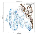 EuleroDec: A Complex-Valued RVQ-VAE for Efficient and Robust Audio Coding