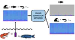 Towards the evaluation of marine acoustic biodiversity through data-driven audio source separation